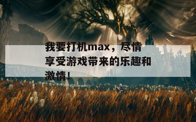 我要打机max，尽情享受游戏带来的乐趣和激情！