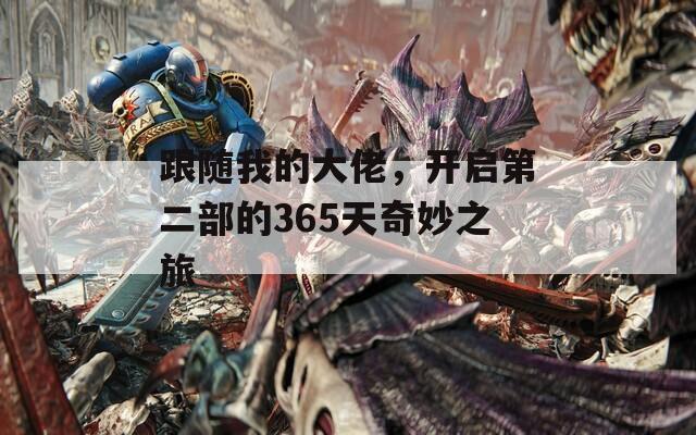 跟随我的大佬，开启第二部的365天奇妙之旅