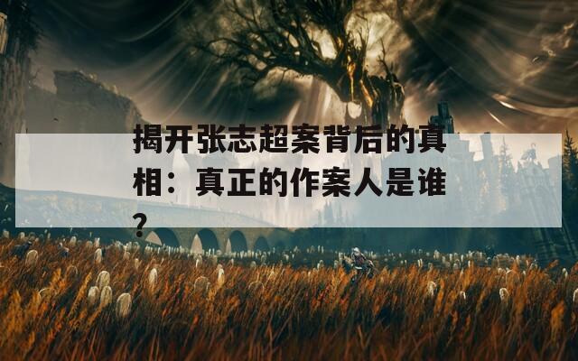 揭开张志超案背后的真相：真正的作案人是谁？