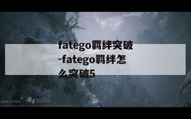 fatego羁绊突破-fatego羁绊怎么突破5