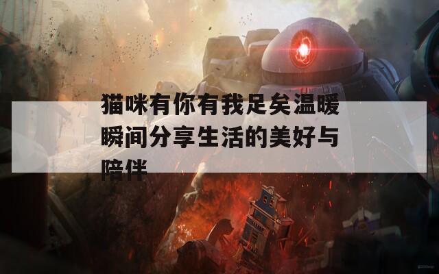 猫咪有你有我足矣温暖瞬间分享生活的美好与陪伴