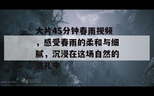大片45分钟春雨视频，感受春雨的柔和与细腻，沉浸在这场自然的洗礼中