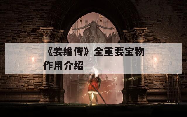 《姜维传》全重要宝物作用介绍