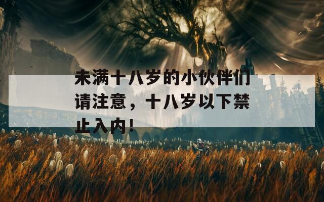 未满十八岁的小伙伴们请注意，十八岁以下禁止入内！