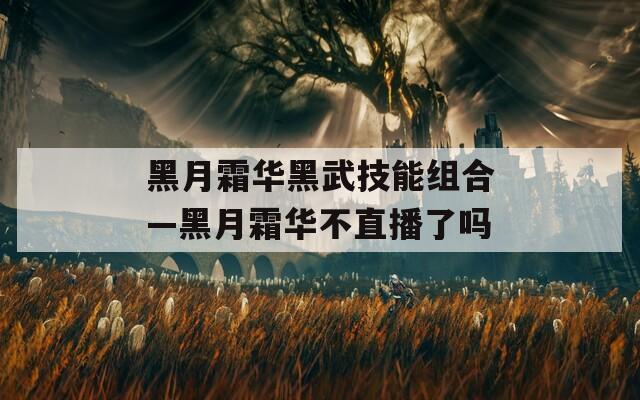 黑月霜华黑武技能组合—黑月霜华不直播了吗