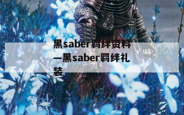 黑saber羁绊资料—黑saber羁绊礼装