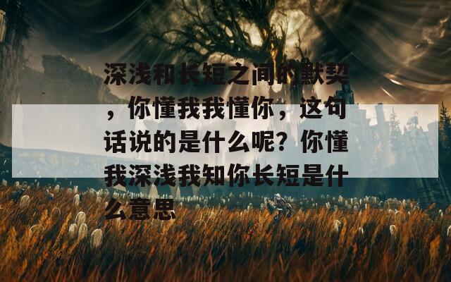 深浅和长短之间的默契，你懂我我懂你，这句话说的是什么呢？你懂我深浅我知你长短是什么意思