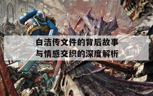 白洁传文件的背后故事与情感交织的深度解析