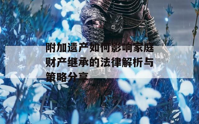 附加遗产如何影响家庭财产继承的法律解析与策略分享