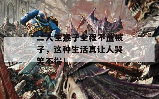 二人生猴子全程不盖被子，这种生活真让人哭笑不得！