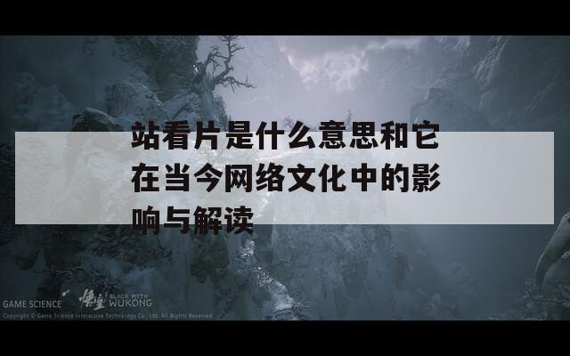 站看片是什么意思和它在当今网络文化中的影响与解读
