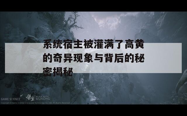 系统宿主被灌满了高黄的奇异现象与背后的秘密揭秘
