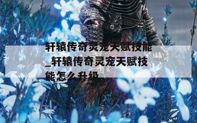 轩辕传奇灵宠天赋技能_轩辕传奇灵宠天赋技能怎么升级