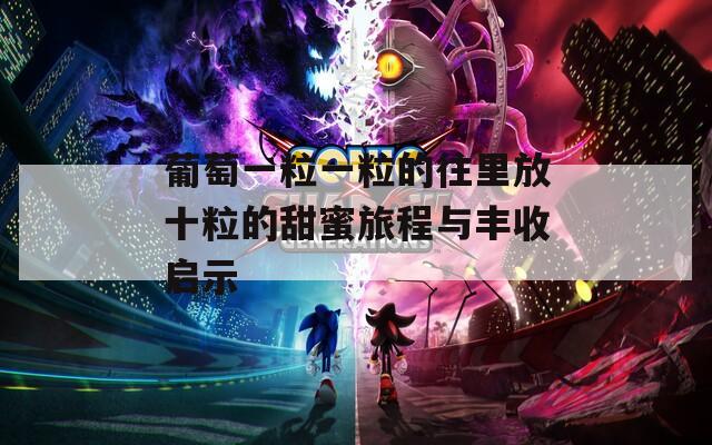 葡萄一粒一粒的往里放十粒的甜蜜旅程与丰收启示