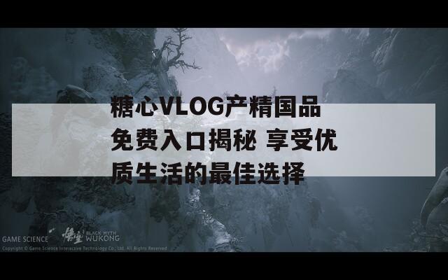 糖心VLOG产精国品免费入口揭秘 享受优质生活的最佳选择