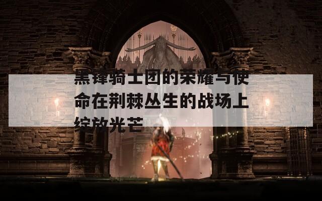 黑锋骑士团的荣耀与使命在荆棘丛生的战场上绽放光芒