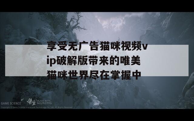 享受无广告猫咪视频vip破解版带来的唯美猫咪世界尽在掌握中