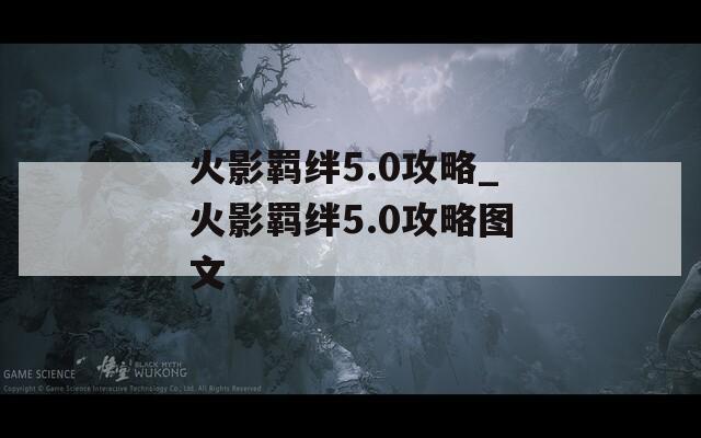火影羁绊5.0攻略_火影羁绊5.0攻略图文