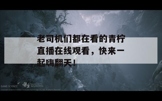 老司机们都在看的青柠直播在线观看，快来一起嗨翻天！