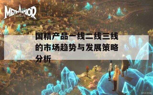国精产品一线二线三线的市场趋势与发展策略分析