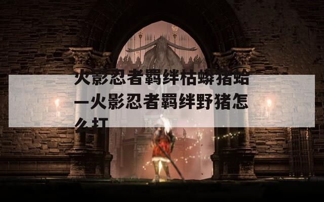 火影忍者羁绊枯蟒猪蛤—火影忍者羁绊野猪怎么打