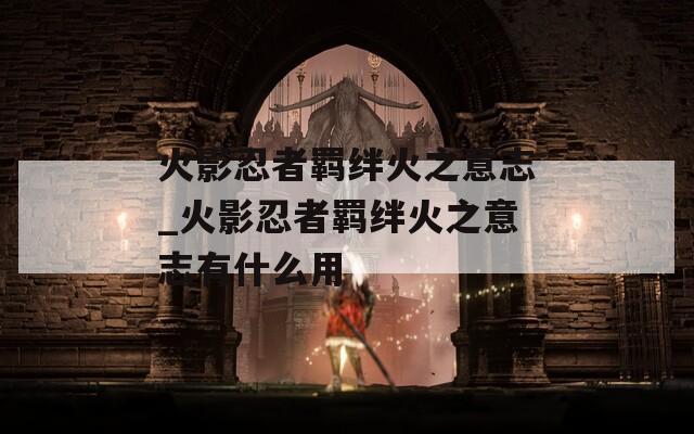 火影忍者羁绊火之意志_火影忍者羁绊火之意志有什么用