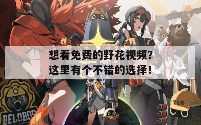 想看免费的野花视频？这里有个不错的选择！