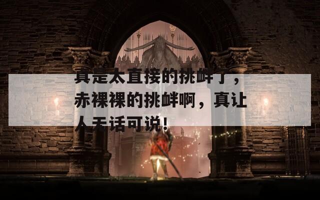 真是太直接的挑衅了，赤裸裸的挑衅啊，真让人无话可说！