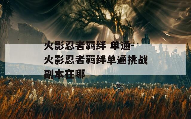 火影忍者羁绊 单通-火影忍者羁绊单通挑战副本在哪