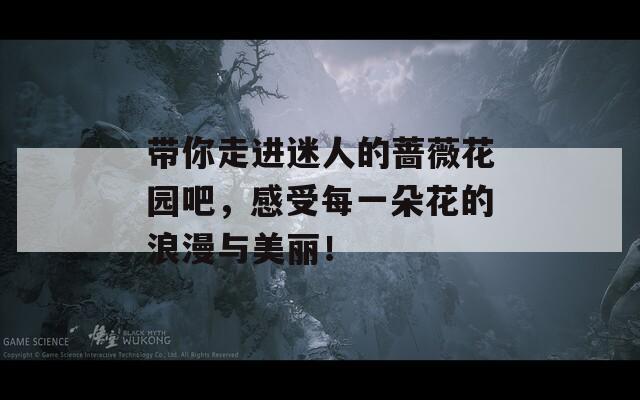 带你走进迷人的蔷薇花园吧，感受每一朵花的浪漫与美丽！