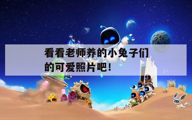 看看老师养的小兔子们的可爱照片吧！