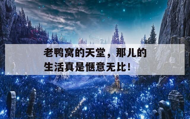 老鸭窝的天堂，那儿的生活真是惬意无比！