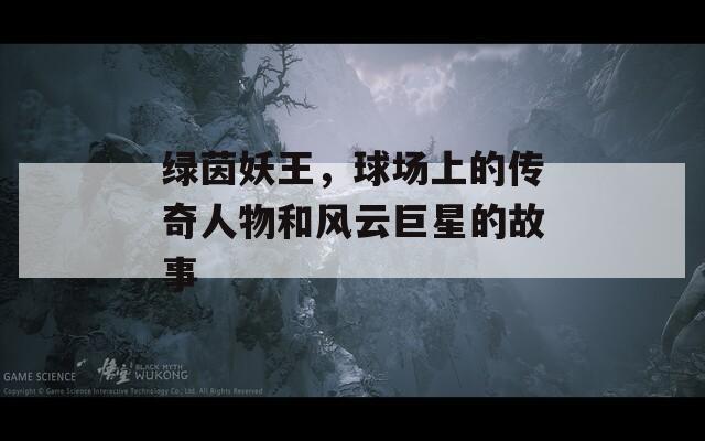 绿茵妖王，球场上的传奇人物和风云巨星的故事