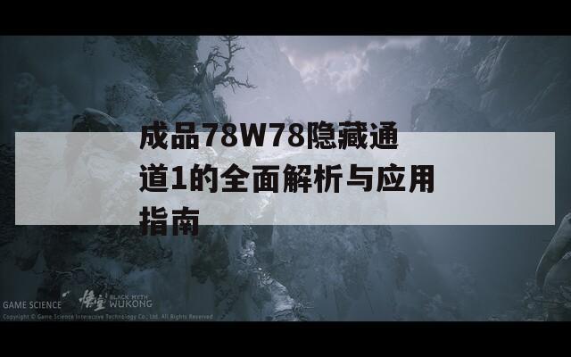 成品78W78隐藏通道1的全面解析与应用指南