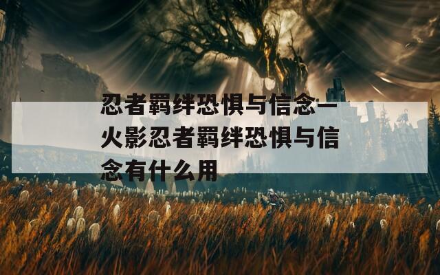 忍者羁绊恐惧与信念—火影忍者羁绊恐惧与信念有什么用