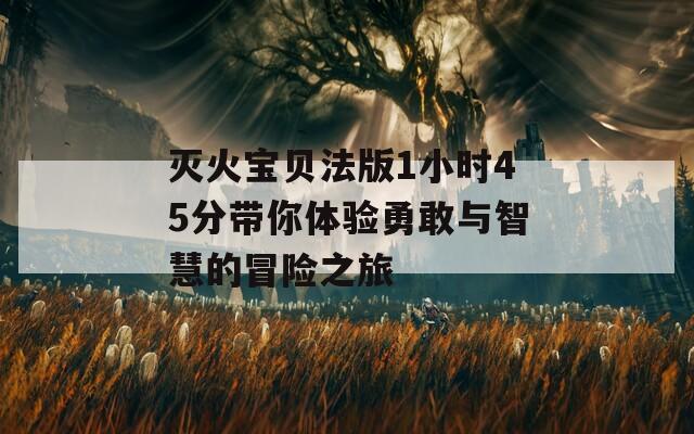 灭火宝贝法版1小时45分带你体验勇敢与智慧的冒险之旅