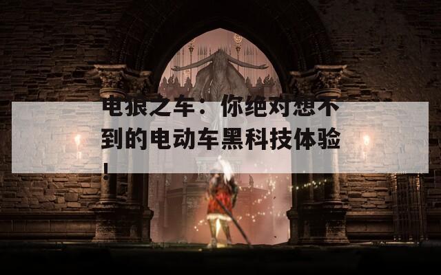 电狼之车：你绝对想不到的电动车黑科技体验！