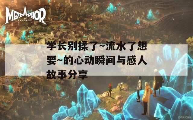 学长别揉了～流水了想要～的心动瞬间与感人故事分享