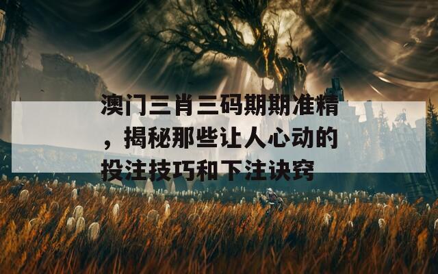 澳门三肖三码期期准精，揭秘那些让人心动的投注技巧和下注诀窍