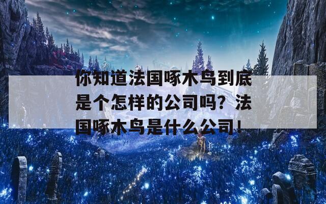 你知道法国啄木鸟到底是个怎样的公司吗？法国啄木鸟是什么公司！