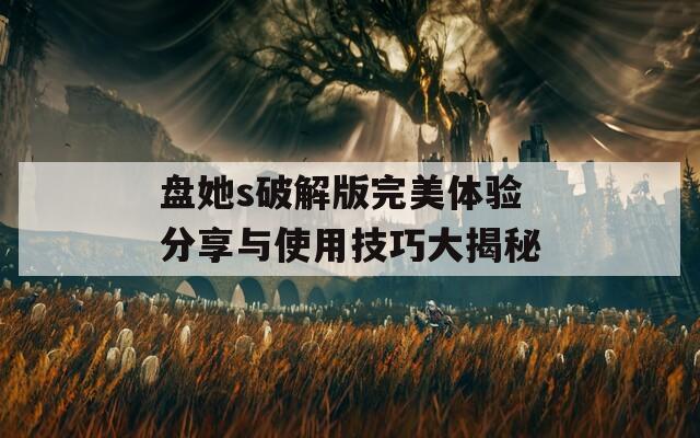 盘她s破解版完美体验分享与使用技巧大揭秘