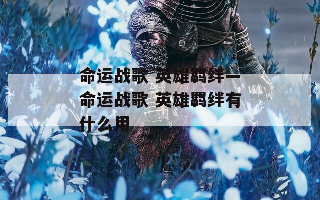 命运战歌 英雄羁绊—命运战歌 英雄羁绊有什么用
