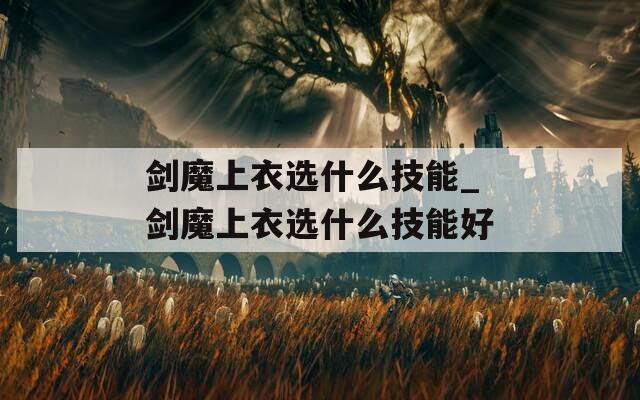 剑魔上衣选什么技能_剑魔上衣选什么技能好