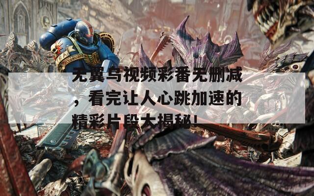 无翼乌视频彩番无删减，看完让人心跳加速的精彩片段大揭秘！