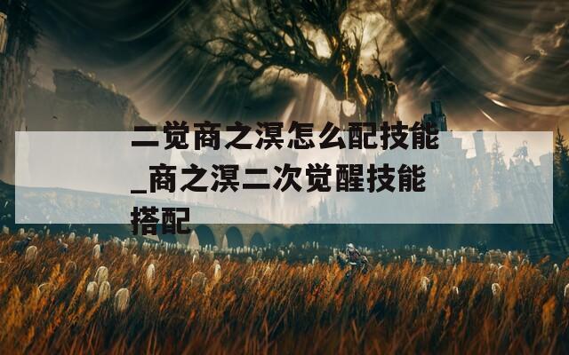二觉商之溟怎么配技能_商之溟二次觉醒技能搭配