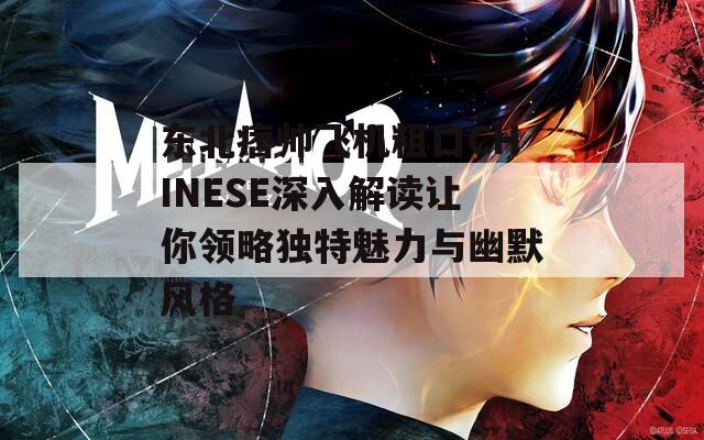 东北痞帅飞机粗口CHINESE深入解读让你领略独特魅力与幽默风格