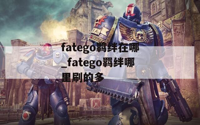fatego羁绊在哪_fatego羁绊哪里刷的多