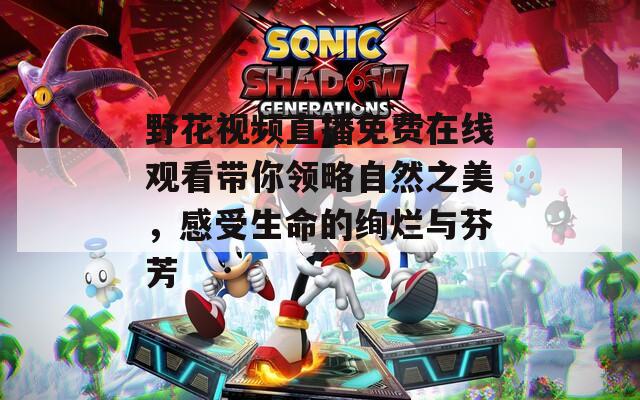 野花视频直播免费在线观看带你领略自然之美，感受生命的绚烂与芬芳