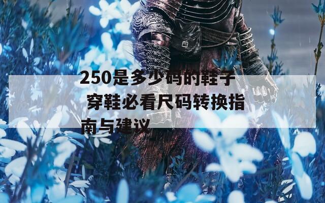 250是多少码的鞋子 穿鞋必看尺码转换指南与建议