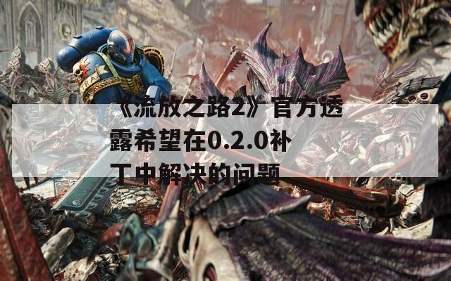 《流放之路2》官方透露希望在0.2.0补丁中解决的问题